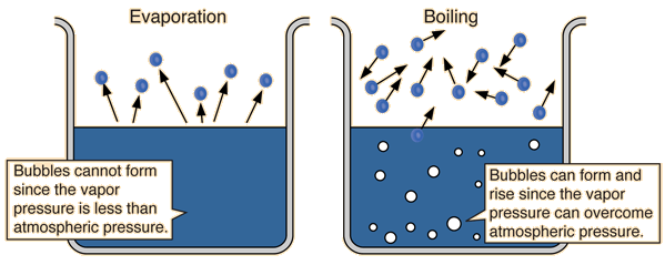 What Has The Highest Saturation Vapor Pressure